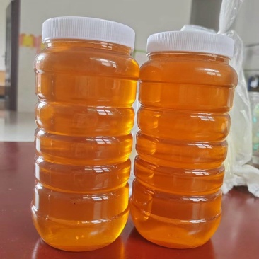 自家养的蜂蜜
