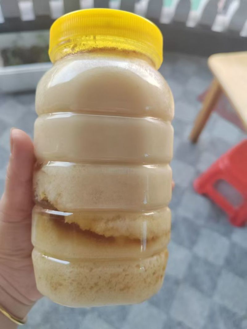 自家养的蜂蜜