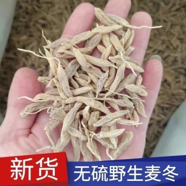 野生麦冬川麦冬正宗野生麦门冬四川绵阳精选野生麦冬