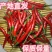 山东新鲜816辣椒供市场供电商代发一件代发小米辣