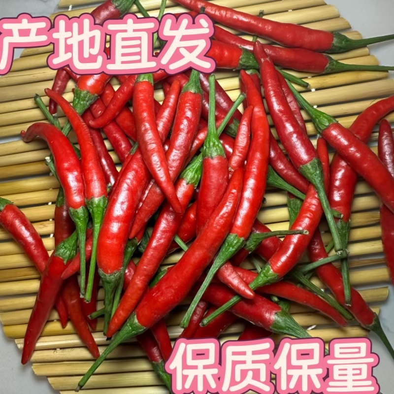 山东新鲜816辣椒供市场供电商代发一件代发小米辣