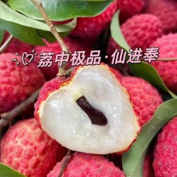 情人荔，仙进奉现在大量上市想要的抓紧时间现在价格便宜