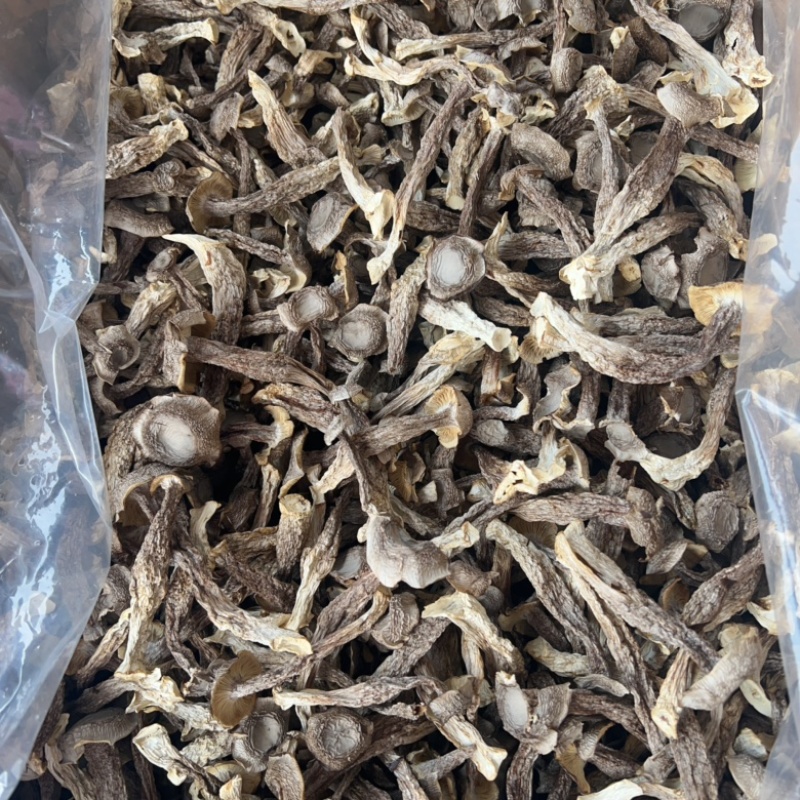 鹿茸菇地摊电商批发厂家直供批发食用菌鹿茸菇干干鹿茸菇