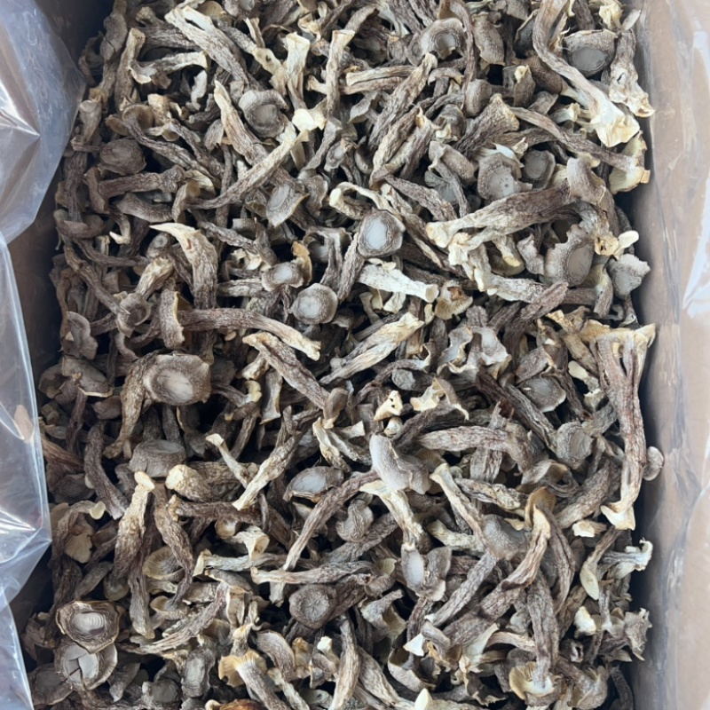 鹿茸菇地摊电商批发厂家直供批发食用菌鹿茸菇干干鹿茸菇