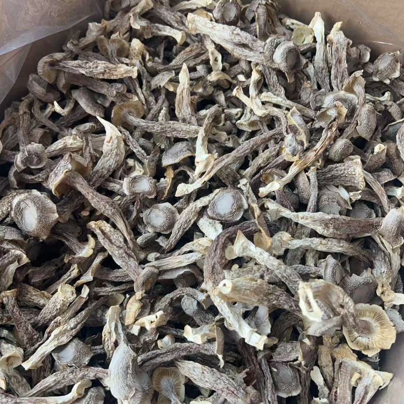 鹿茸菇地摊电商批发厂家直销鹿茸菇干干鹿茸菇菌菇