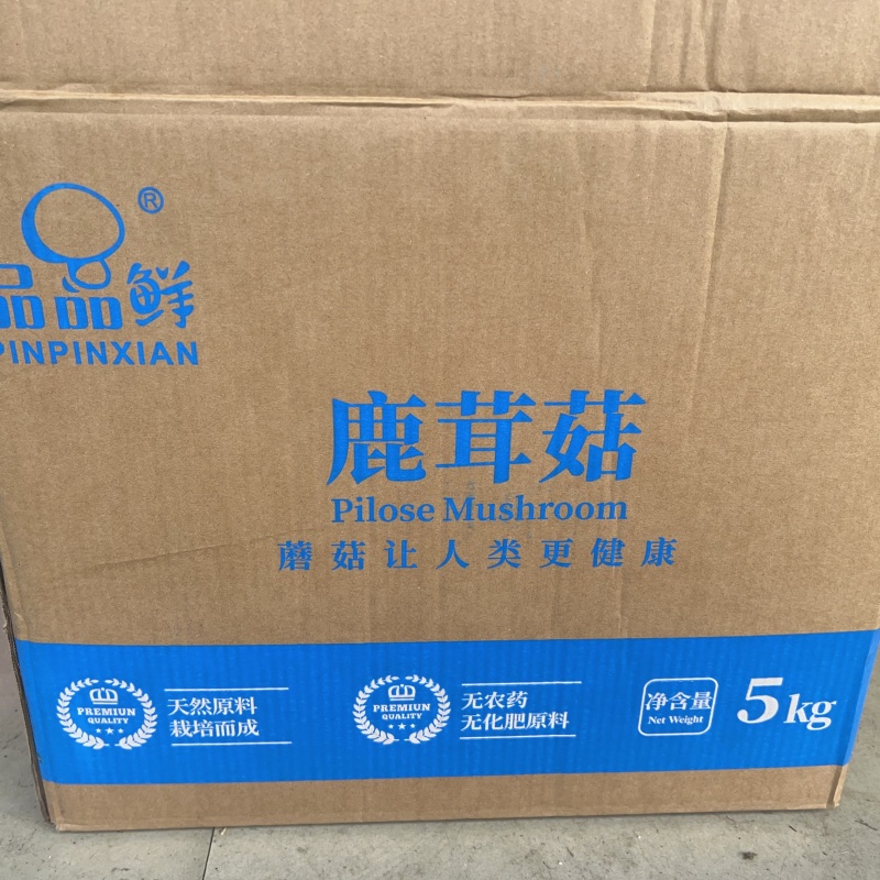 鹿茸菇地摊电商批发厂家直销鹿茸菇干干鹿茸菇菌菇