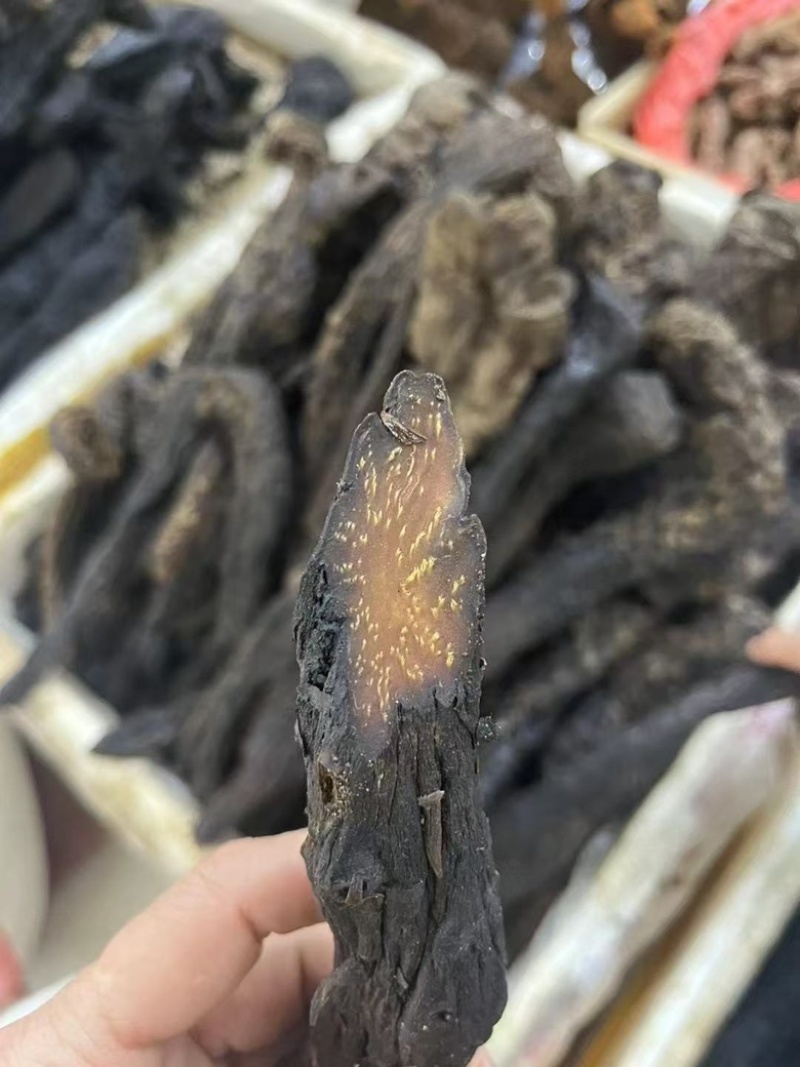 肉苁蓉产地直供，一手货源保质保量全国发货