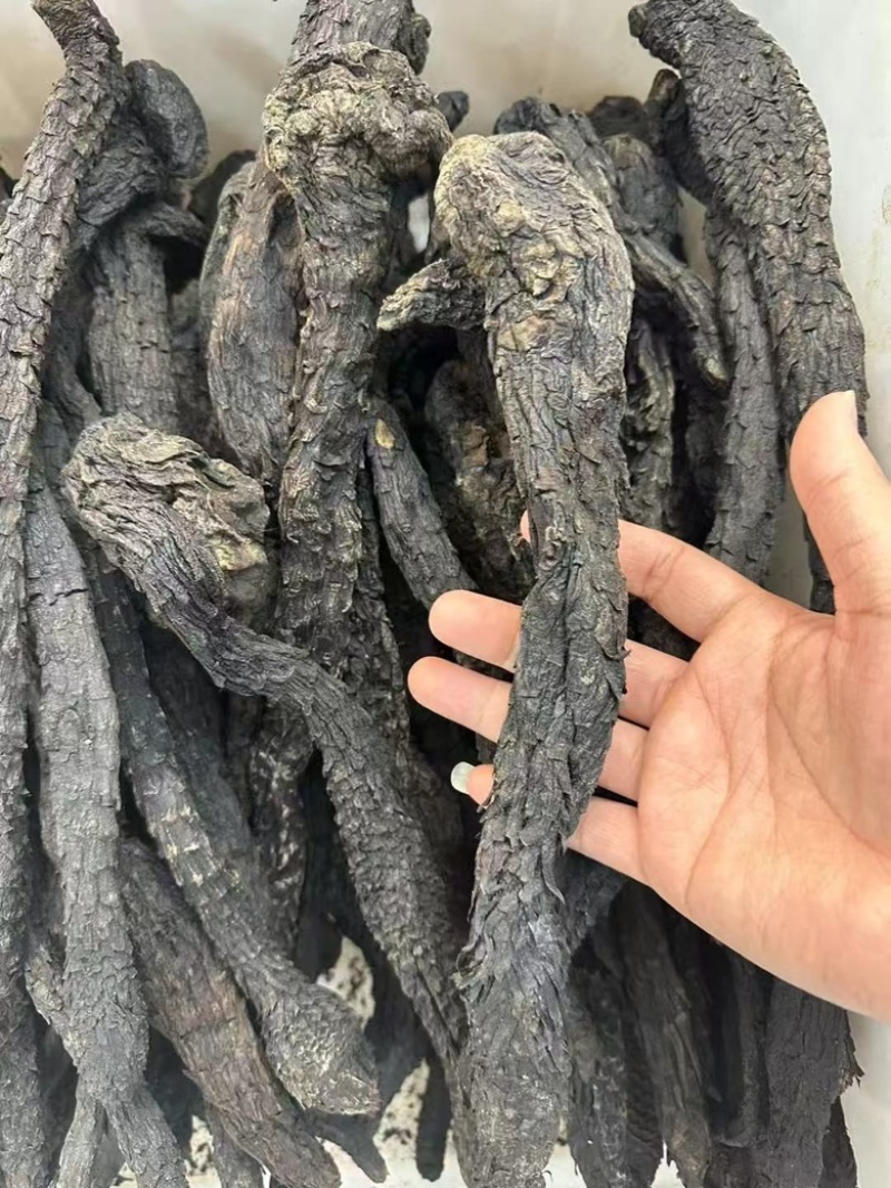肉苁蓉产地直供，一手货源保质保量全国发货