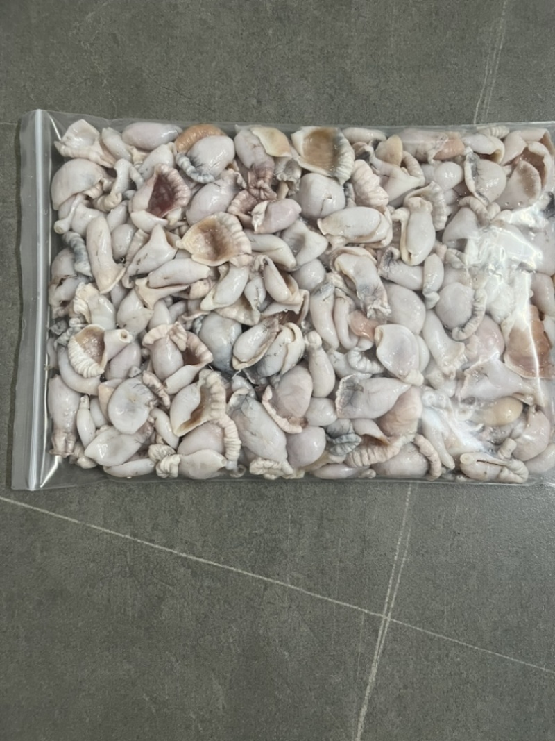 蛙肚飞水牛蛙肚免洗干冰无水牛蛙肚餐饮酒店特色食材