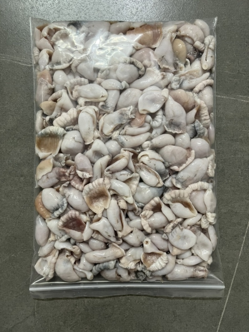 蛙肚飞水牛蛙肚免洗干冰无水牛蛙肚餐饮酒店特色食材