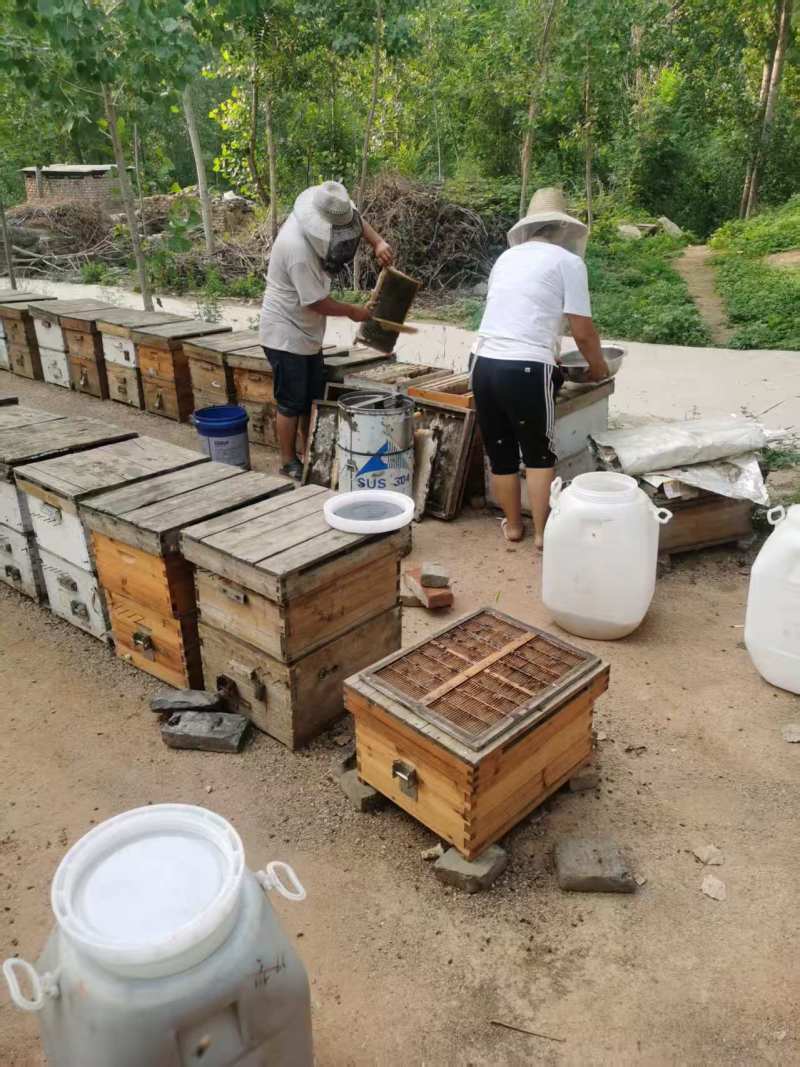 农家自产蜂蜜源自深山纯正天然，农家直发，优质供