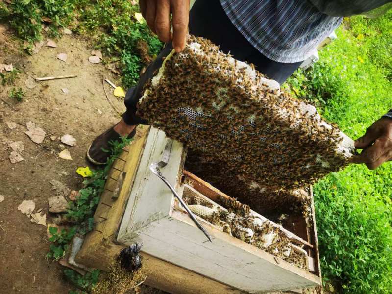 农家自产蜂蜜源自深山纯正天然，农家直发，优质供