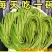 新鲜铁皮石斛面条霍山石斛原浆铁棍山药挂早餐猴头菇丁香养沙棘