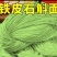 新鲜铁皮石斛面条霍山石斛原浆铁棍山药挂早餐猴头菇丁香养沙棘
