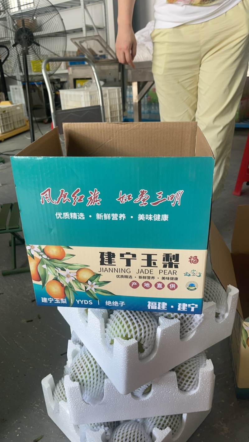 福建建宁翠冠梨