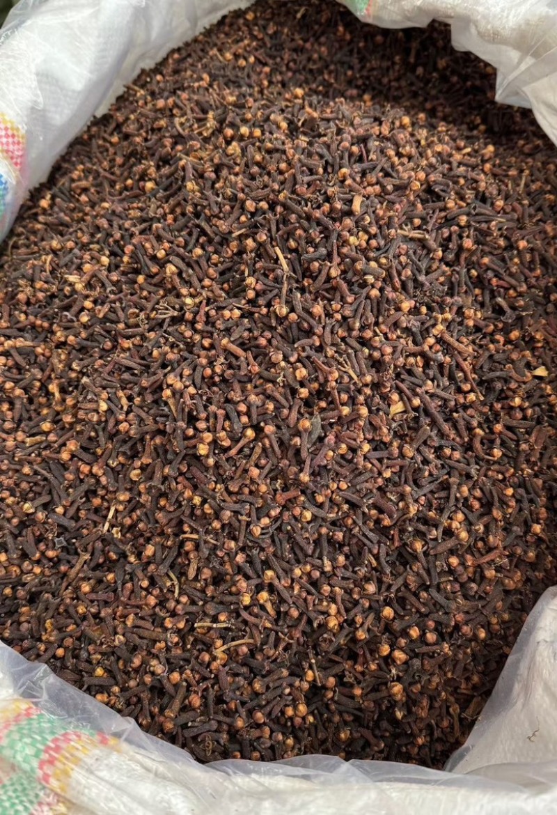 【广西玉林】丁香公丁香香料大全量大从优