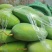 个类芒果，市场，工厂，电商都有货