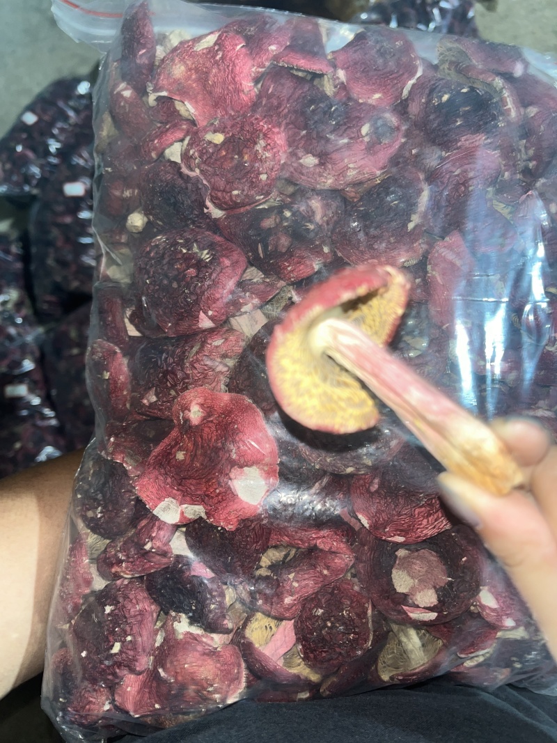 红菇源头供货