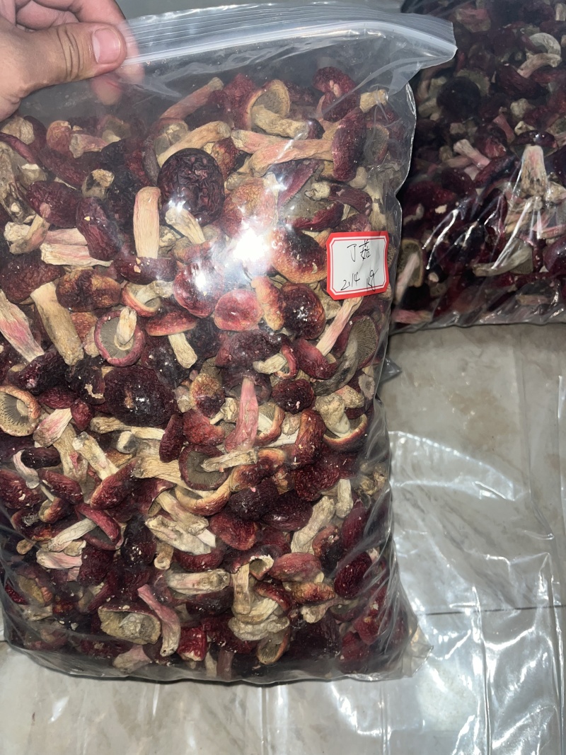 红菇源头供货
