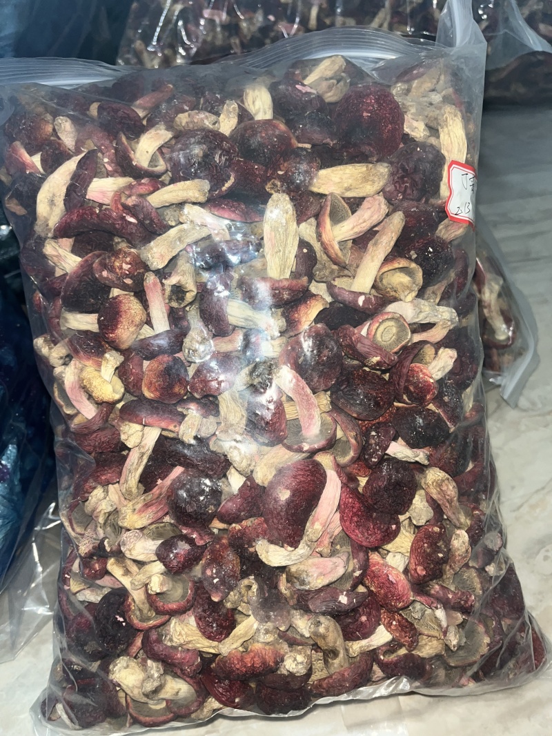 红菇源头供货