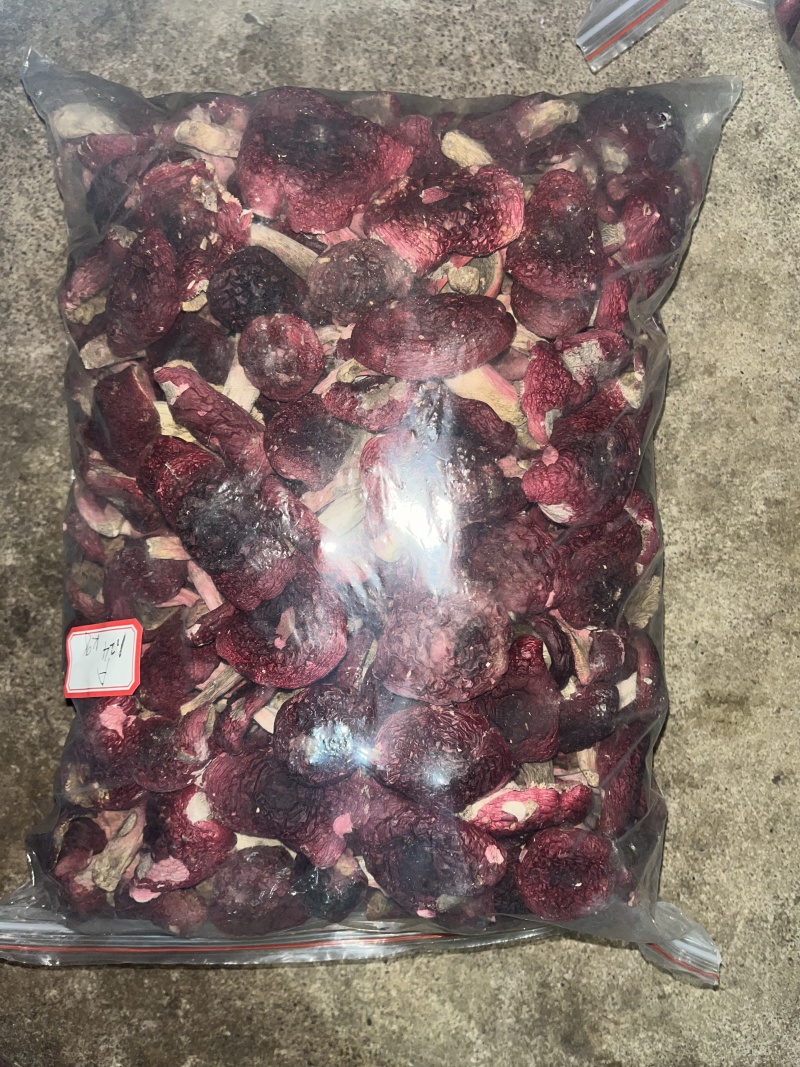 红菇源头供货