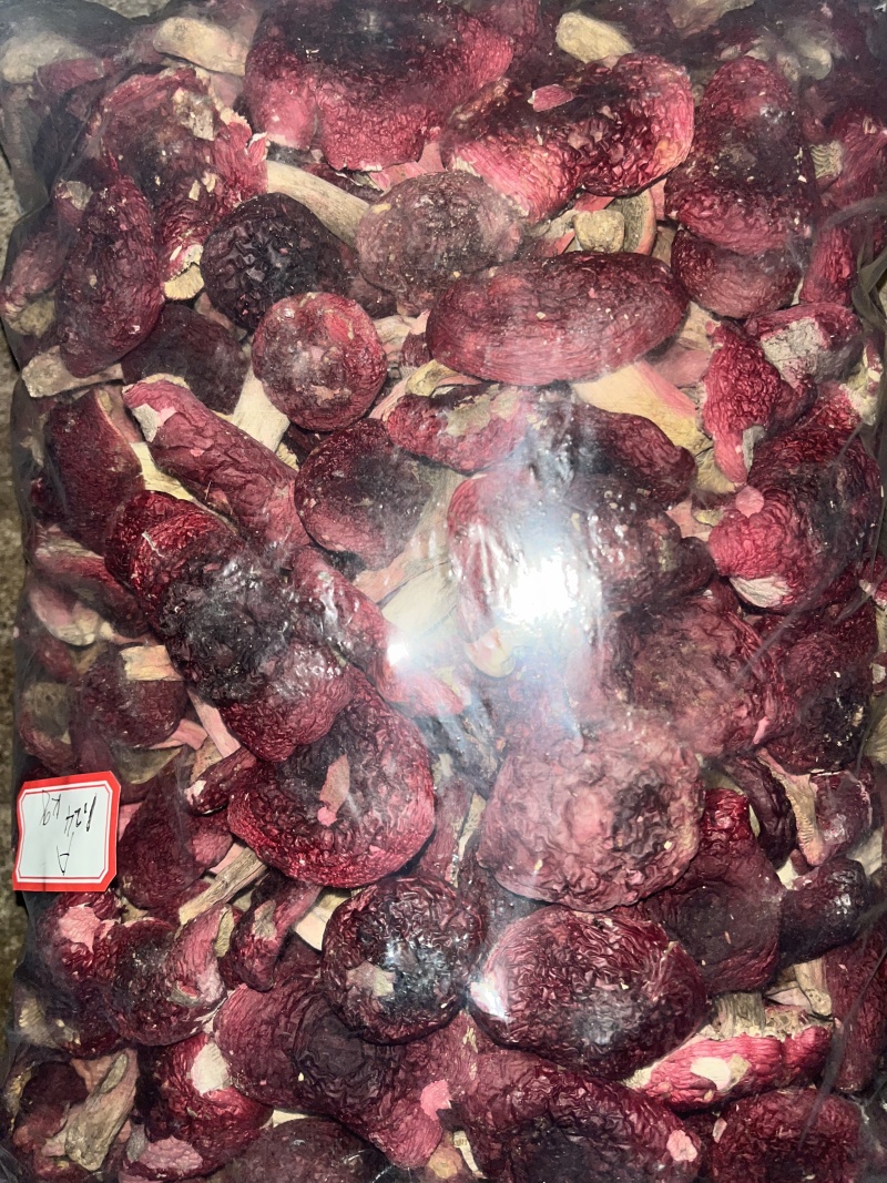 红菇源头供货