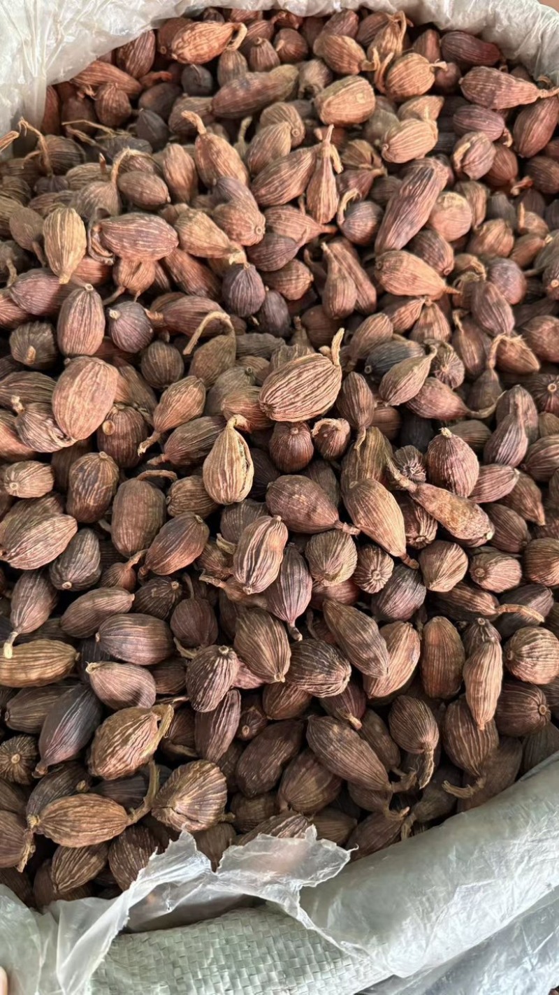 【广西玉林】云南草果越南草果足干颜色好量大从优