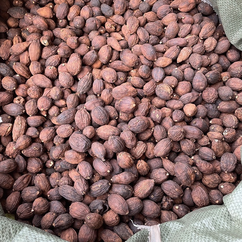 【广西玉林】云南草果越南草果足干颜色好量大从优
