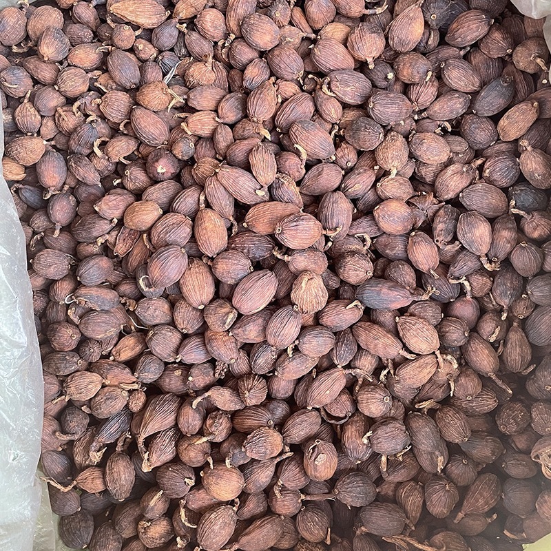 【广西玉林】云南草果越南草果足干颜色好量大从优