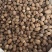 【广西玉林】特级肉豆蔻玉果香果五斤包邮无硫新货大个头