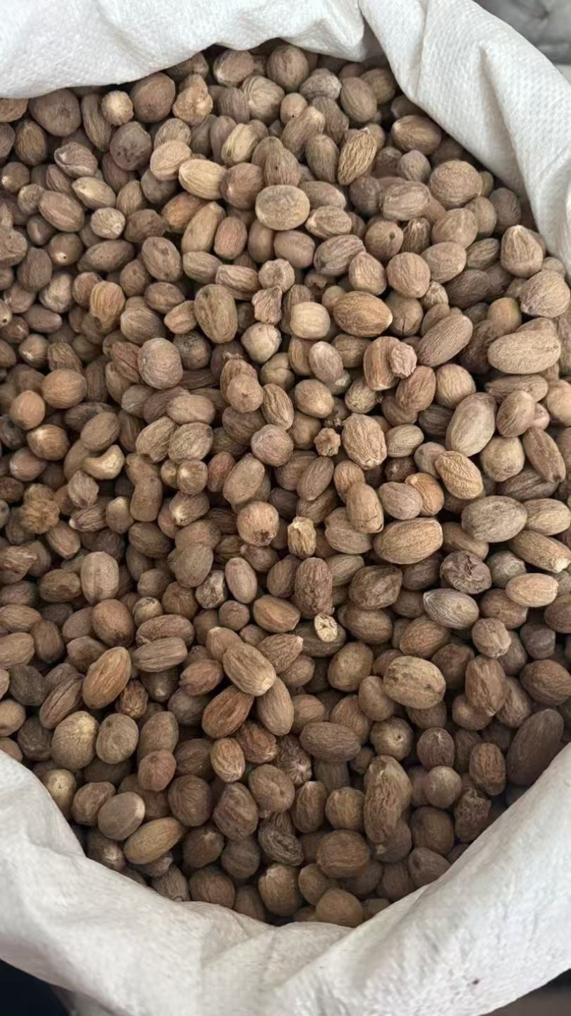 【广西玉林】特级肉豆蔻玉果香果五斤包邮无硫新货大个头