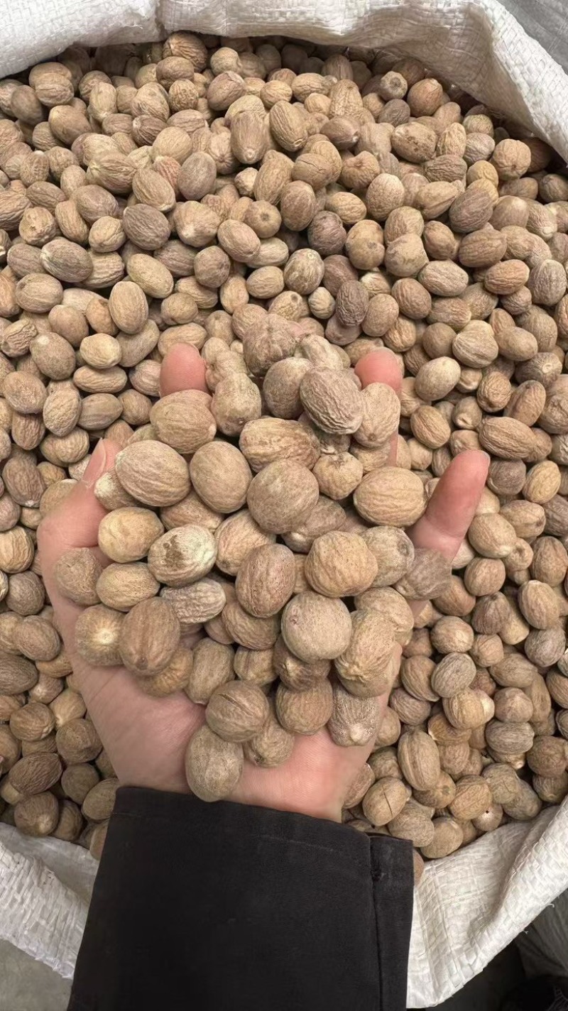 【广西玉林】特级肉豆蔻玉果香果五斤包邮无硫新货大个头
