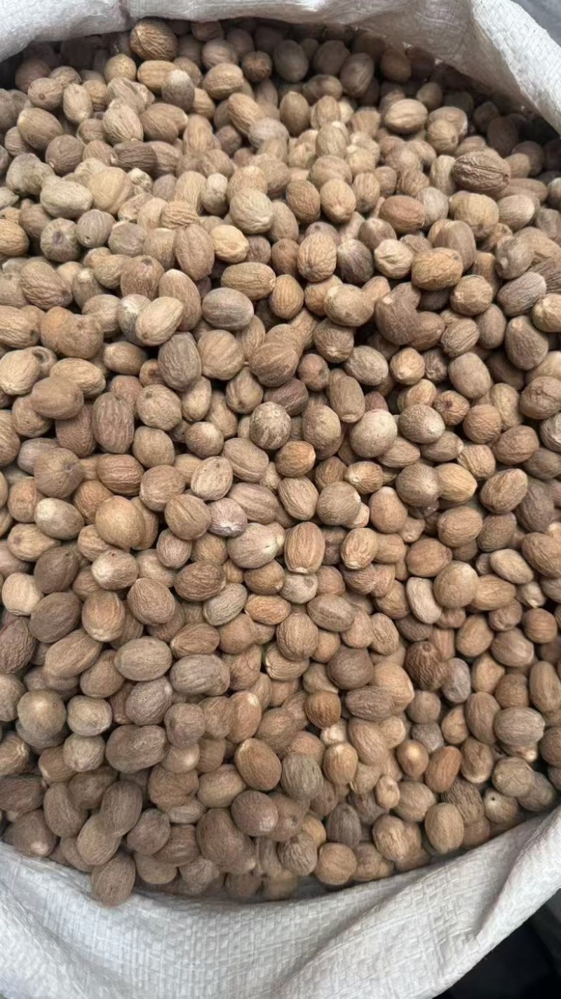 【广西玉林】特级肉豆蔻玉果香果五斤包邮无硫新货大个头