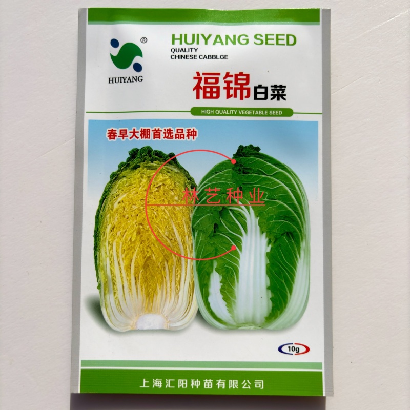 福锦白菜种子纯进口绿叶黄心高产耐寒耐抽苔农家春季播种