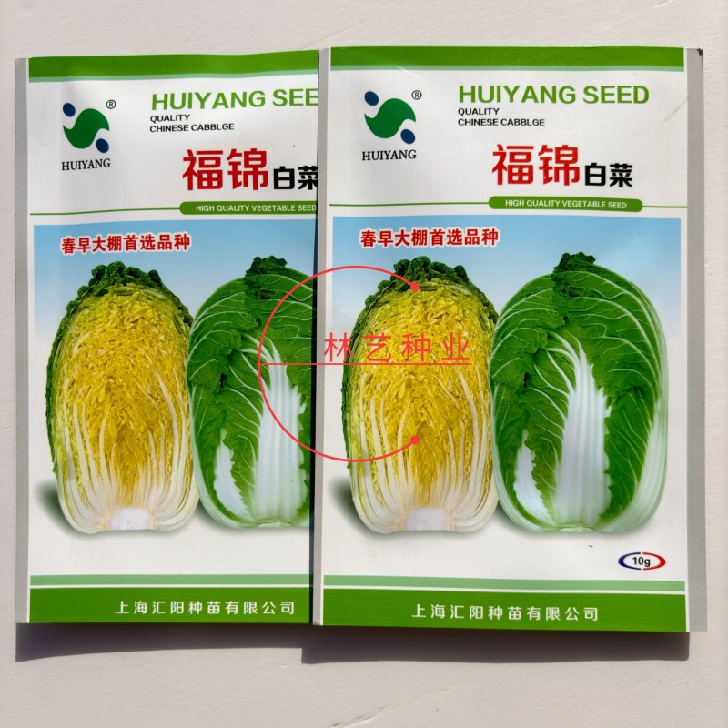 福锦白菜种子纯进口绿叶黄心高产耐寒耐抽苔农家春季播种