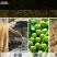 山西陈醋/山西食用醋/老陈醋/5年老醋/价格便宜/一件代发