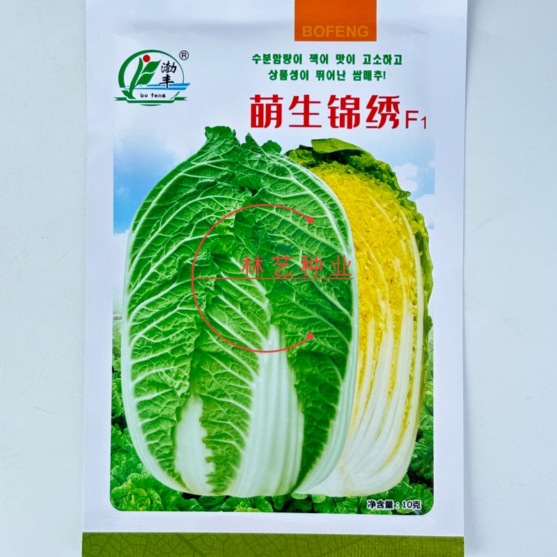 萌生锦绣杂交早熟黄心包头大白菜种子外叶绿内叶黄口感好