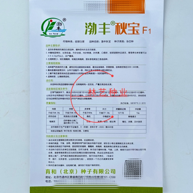 渤丰秋宝大白菜种子秋播黄芯白菜杂交种结球白菜可做泡菜蔬菜