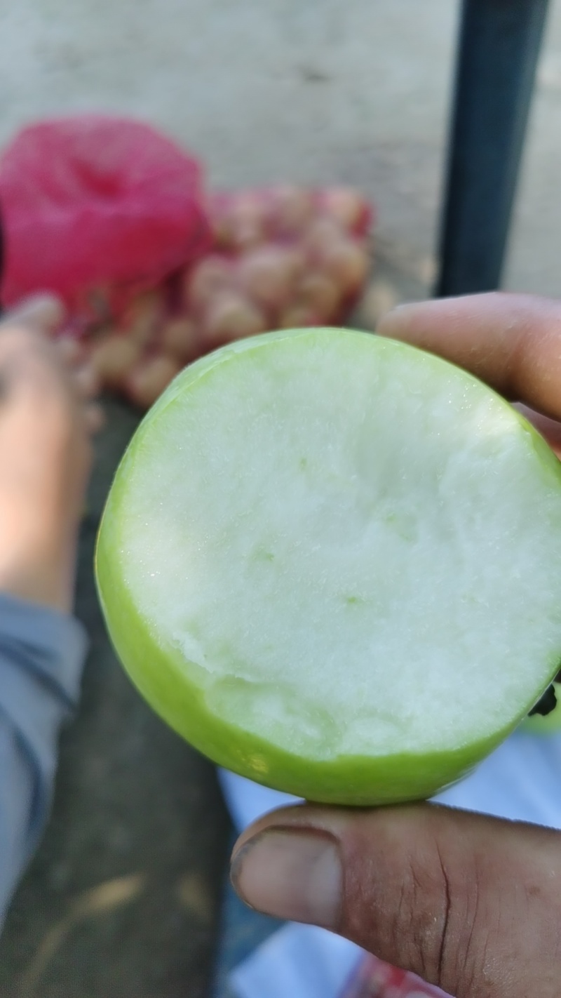 华硕苹果