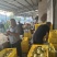 白黄冠安徽砀山产区保质保量供应全国电商市场