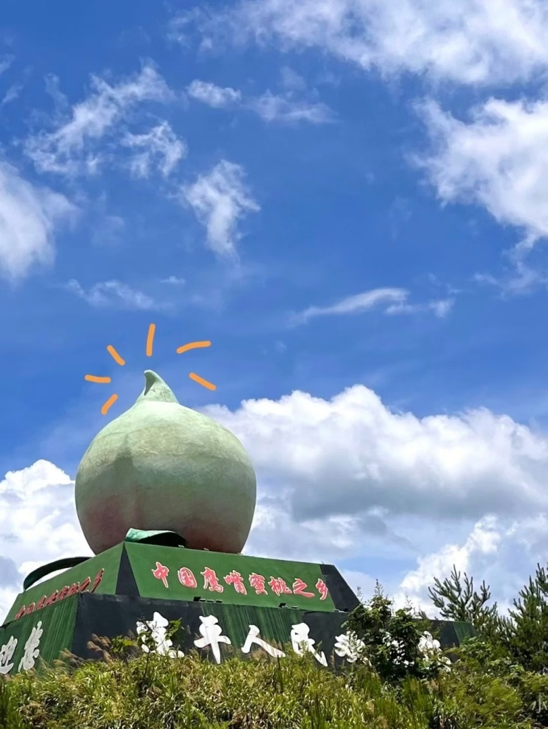 上坪鹰嘴桃