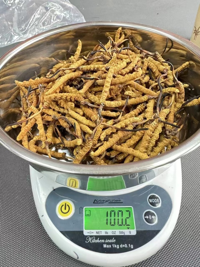 那曲精品头茬新干草，2根/克，送礼必备，送礼送健康