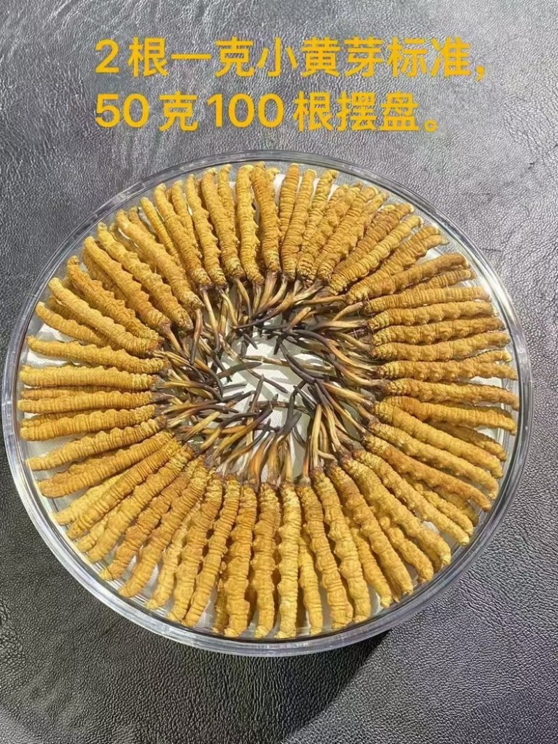 那曲精品头茬新干草，2根/克，送礼必备，送礼送健康