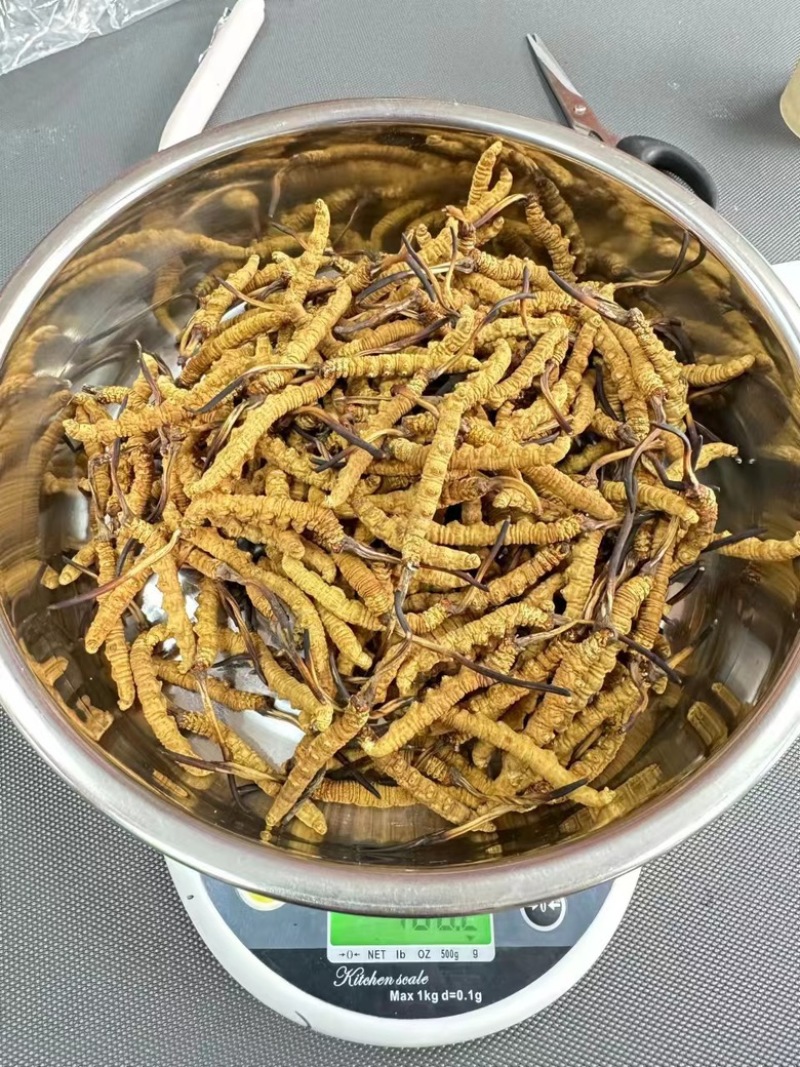 那曲精品头茬新干草，2根/克，送礼必备，送礼送健康