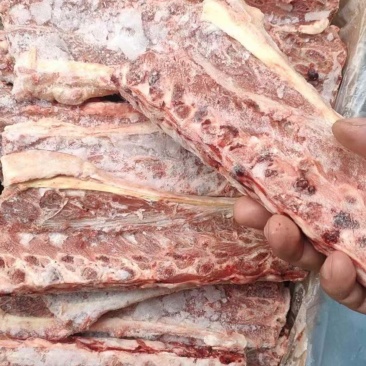 多肉羊刀骨羊蝎子替代品一手货源