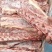 多肉羊刀骨羊蝎子替代品一手货源