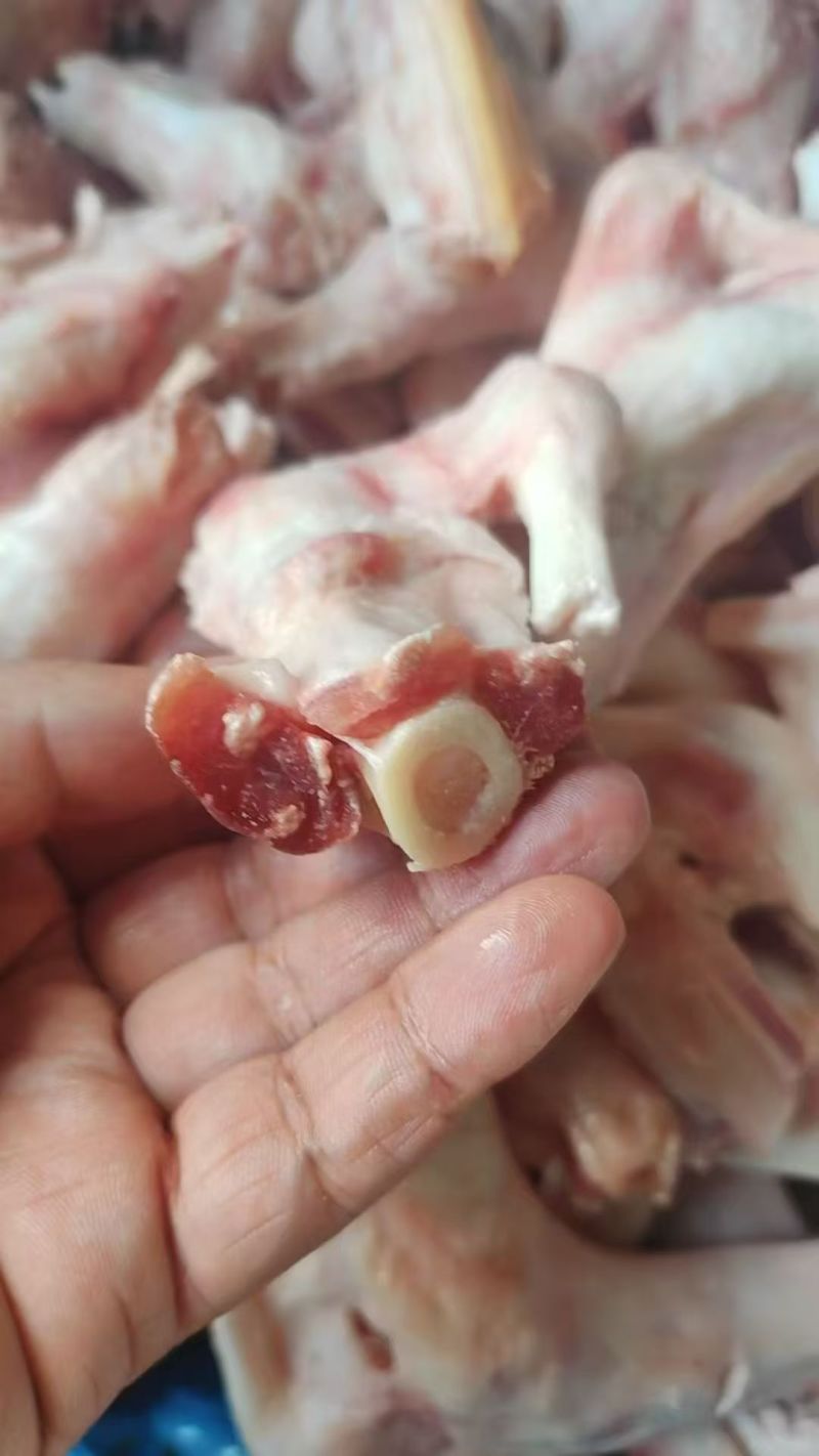 羊拐筋