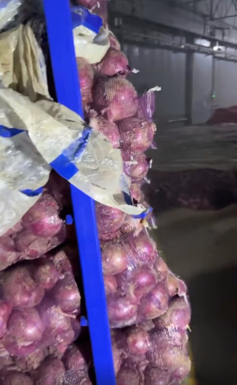红皮洋葱，量大从优，欲购从速，适合各大商超，全国发货