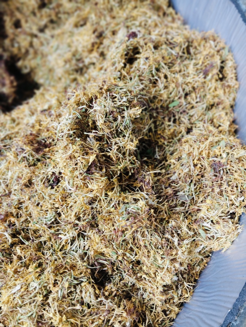 贵州野野生银花