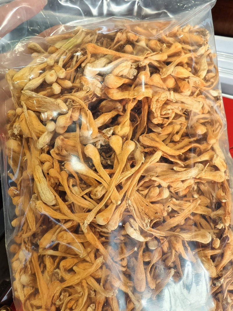 虫草花